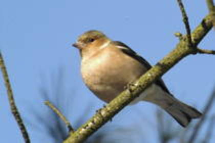 LTSOZHGTOSTEHOEYUCG - PASARELE O VECHE PASIUNE