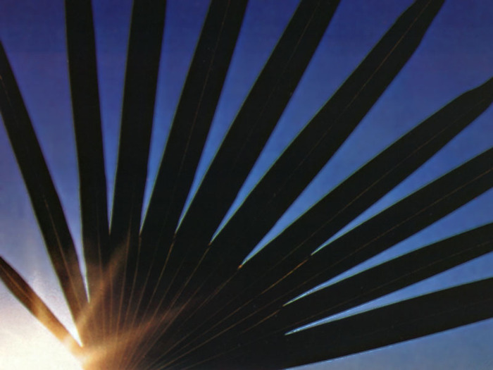 Desert Sunrise - 0-Rasarituri_apusuri