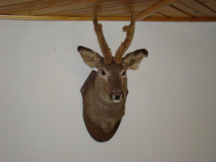 DSC01982 - Concediu 2008