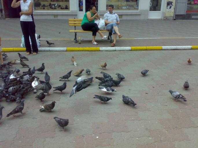 23072008652 - 18a Constanta 1