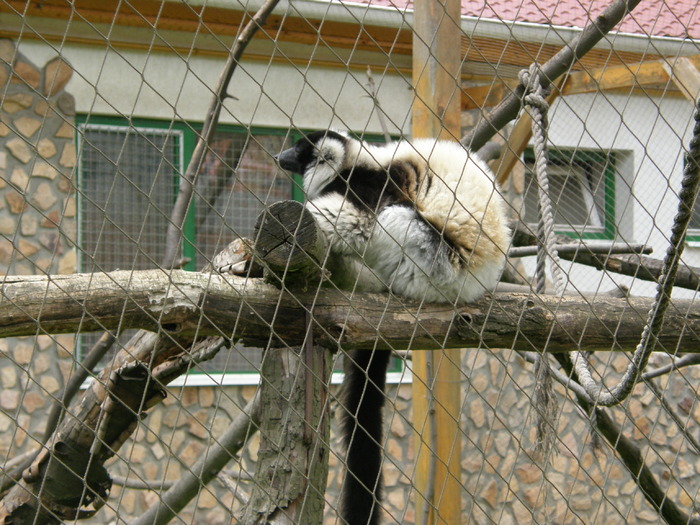 P7040031 - Zoo Nyiregyhaza 2009