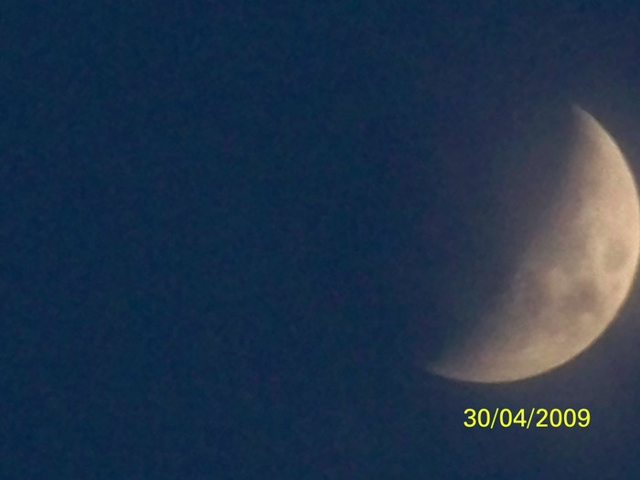 100_1339 - Primavara in curte  Timisoara