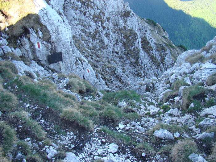 DSC03199 - Piatra Craiului MAI