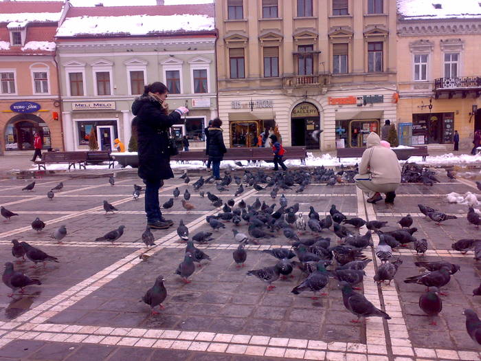 15022009315 - Brasov 15 02 2009