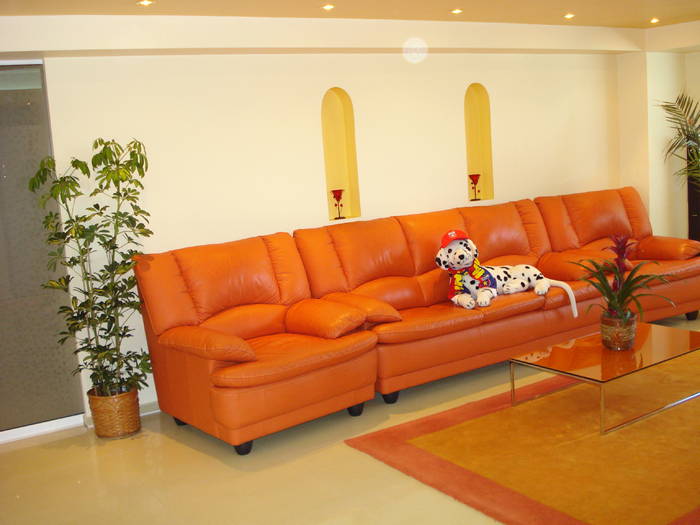 LIVING CU....STELISTI:))