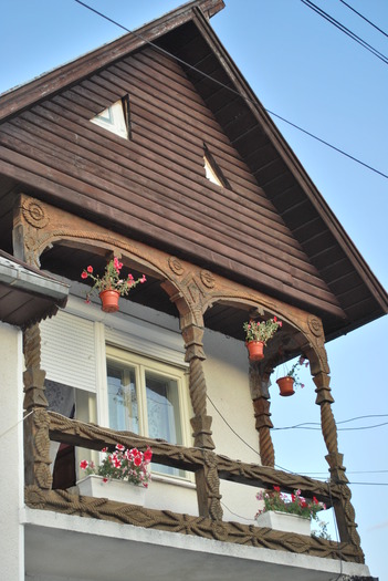 Mm 517; unde am stat la Ocna Sugatag
