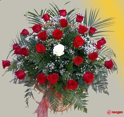 f65cfc66_0050000933902_00_600 - Trandafiri