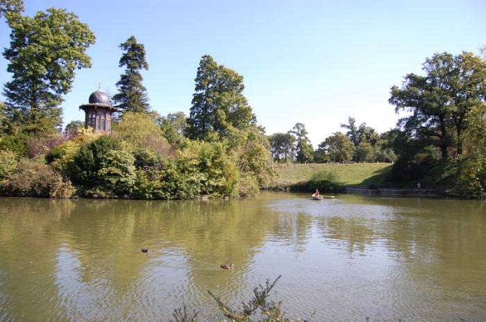 DSC_0244_resize - Bois de coulogne