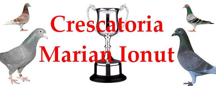 crescatoriea mea - contact