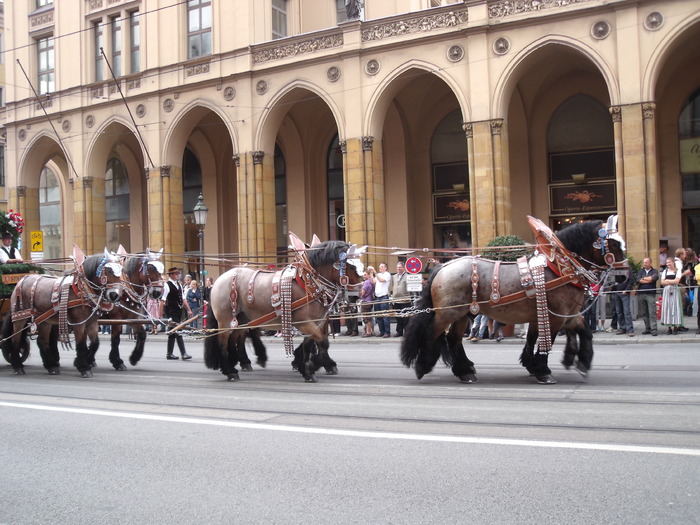 DSCF7878 - october fest