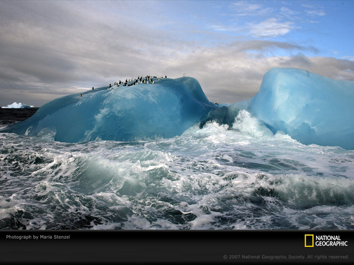 11 - alaska and antarctica icebergs