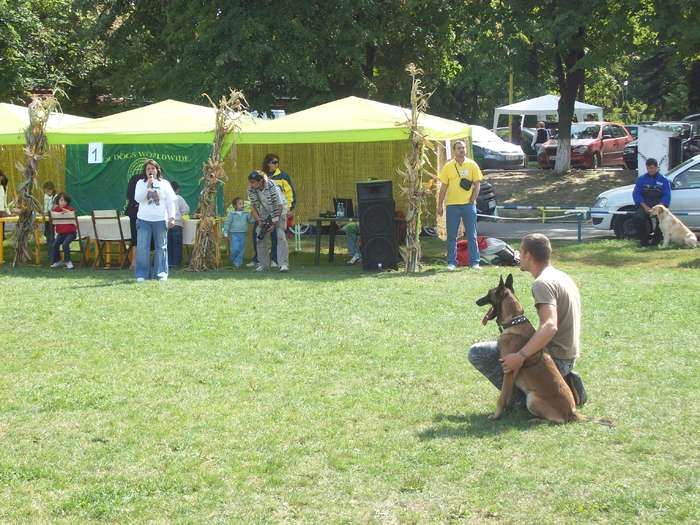 100_8575 - Expo CACIB-Bucuresti 19-20sept2009