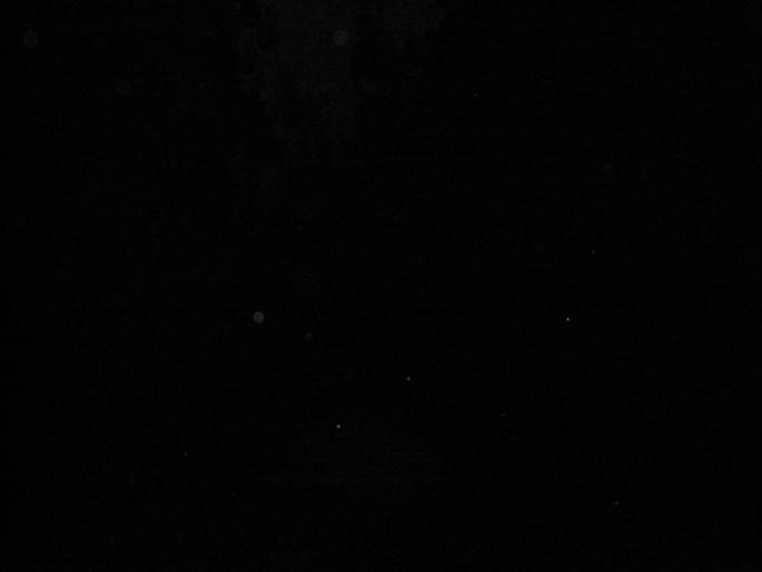 P101005