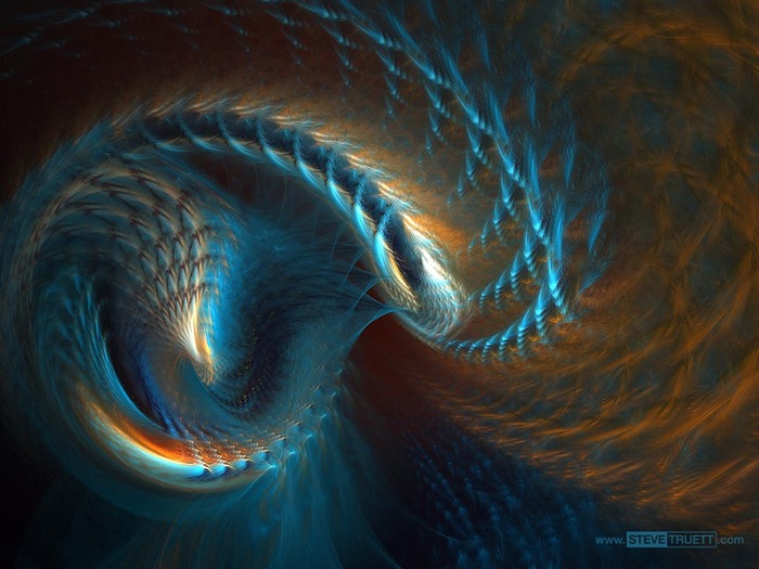 feathers1024_768