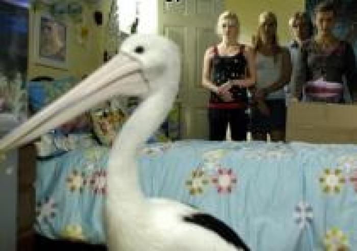 UDBTAVKXXRDPPCJAMGY