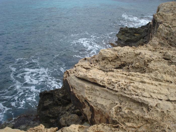 Picture 526; Cape Greco

