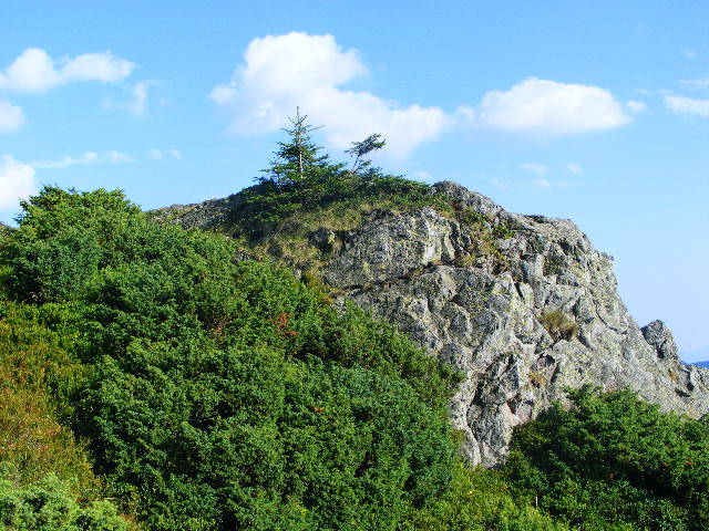 DSCF4494