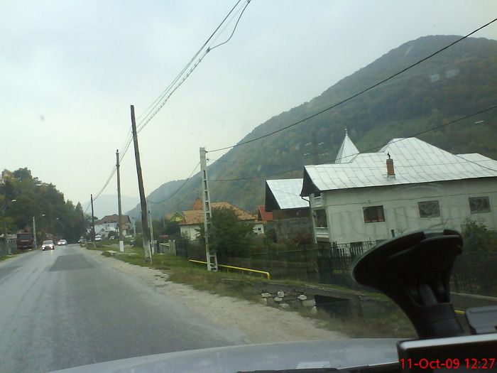 DSC02242 - transfagarasean si flora din Drauseni  BV