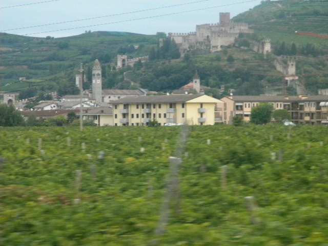 DSCN0497