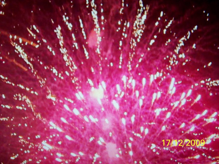 100_7071 - 1 Decembrie Timisoara