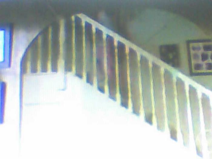 snapshot-390 - Sora lui Cleo Kim