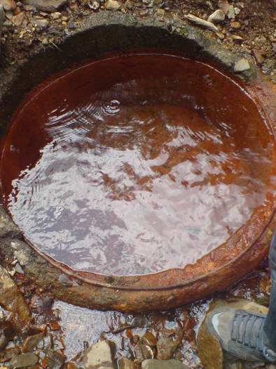 DSC02415 - asta da viata