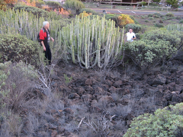 Tenerife  1 162