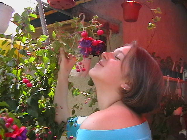 Picture 016