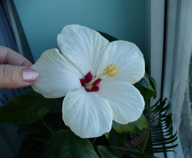 P1110128