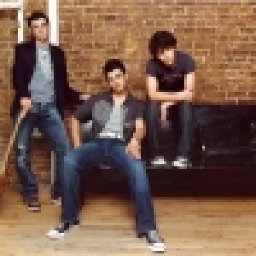 tb_100_mare_8527_jonas_brothers_6