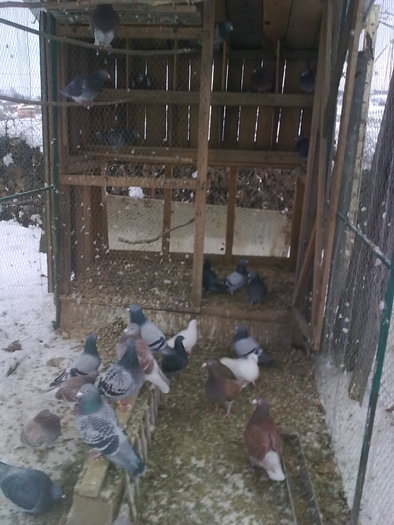 Imagine0042 - VOIAJORI