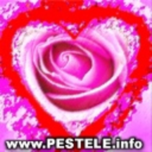 avatare%20poze%20valentines%20anti%20valentines%20concurs%20valentine%20dedicatii%20de%20ziua%20indr