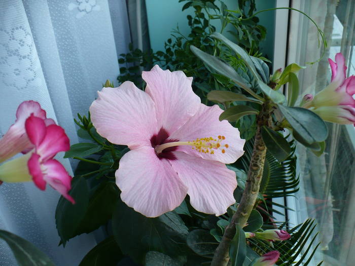 P1120631