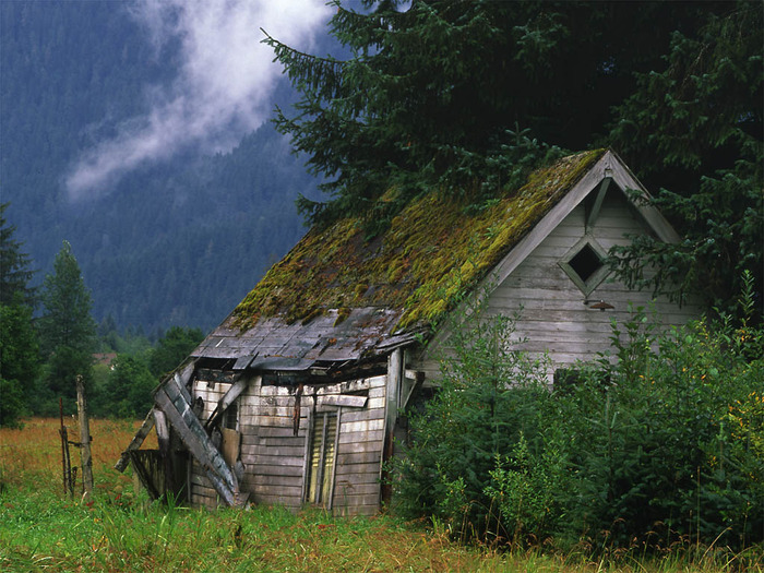 Shed in Field - Din Natura