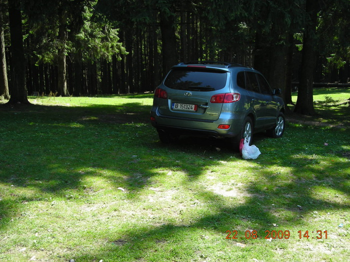 DSCN9362 - Sinaia 23 08 2009