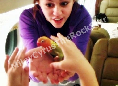 MileyCyrusTheRockStar27 - Poze super rare