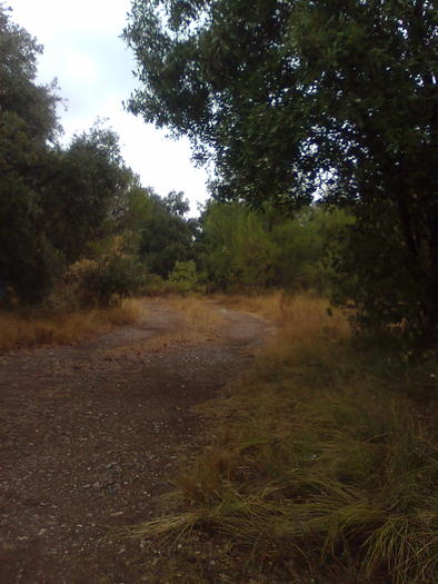 Imagine1359 - ApiMondia