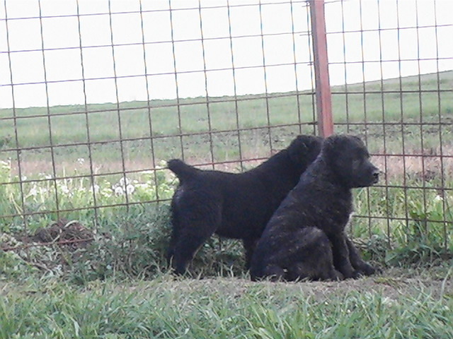 poze 04.05.2009 148