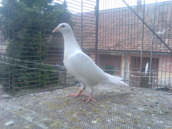 Imag070