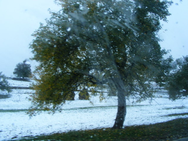 DSCF7324 - ninge in Maramu