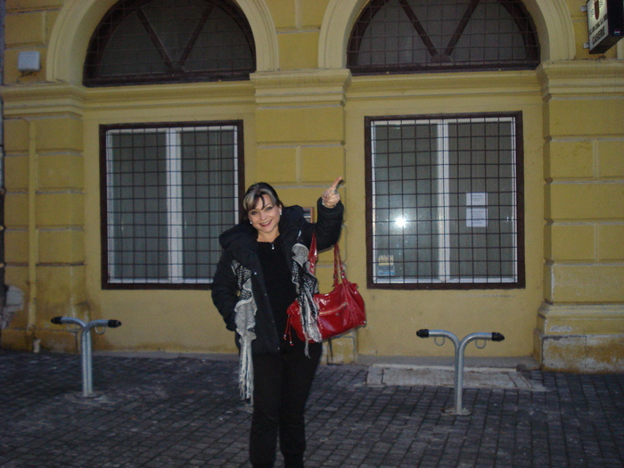 DSC06267 - 2010 REVELION SIBIU