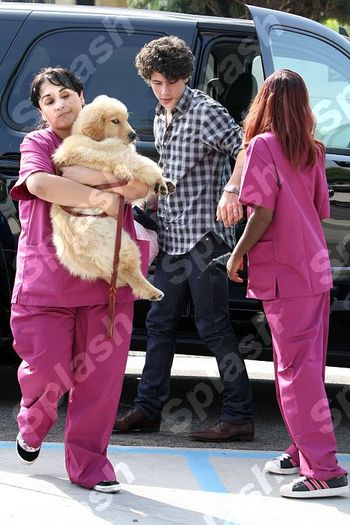 nick-jonas-puppy-elvis-sp-1 - Nick cu Elvis Jonas