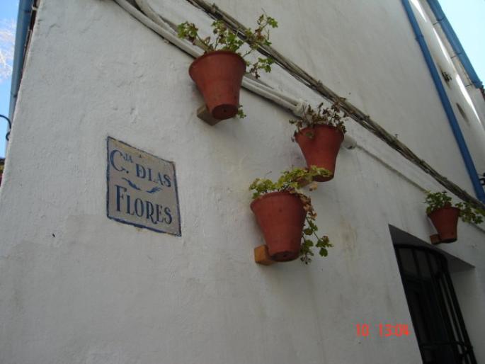 129 Cordoba - Cordoba