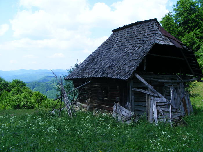 DSCF1077