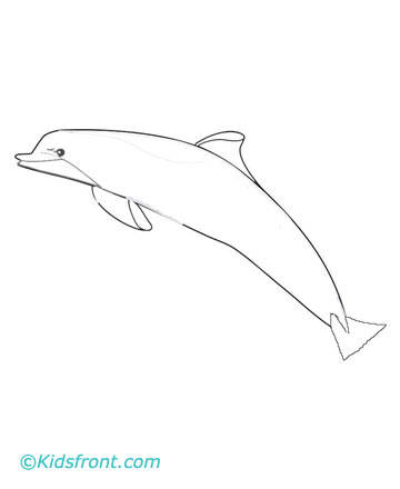 dolphin2 - desene  liniare