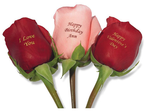 valentines_day_roses - Love