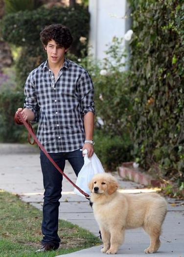 which_celebrity_dog_would_you_like_to_have - Nick cu Elvis Jonas