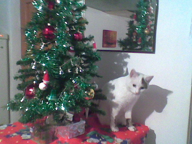 Imag025