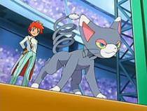 zoey - ce stim despre pokemon diamant si perla batter dimention