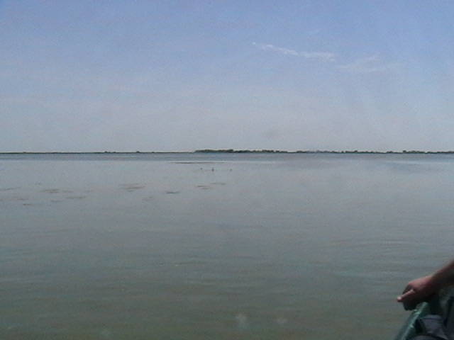 IMGA0952 - In Delta Dunarii- Mila 23-iunie 2009